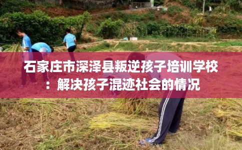 石家庄市深泽县叛逆孩子培训学校:解决孩子混迹社会的情况 石家庄市深泽县叛逆孩子培训学校:解决孩子混迹社会的情况