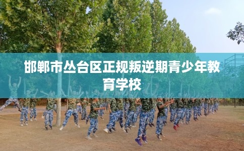 邯郸市丛台区正规叛逆期青少年教育学校