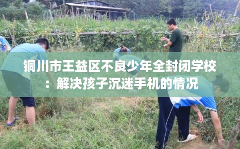 铜川市王益区不良少年全封闭学校：解决孩子沉迷手机的情况