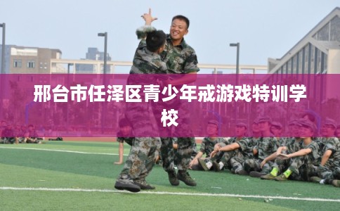邢台市任泽区青少年戒游戏特训学校