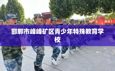 邯郸市峰峰矿区青少年特殊教育学校 邯郸市峰峰矿区青少年特殊教育学校