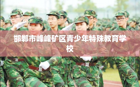 邯郸市峰峰矿区青少年特殊教育学校 邯郸市峰峰矿区青少年特殊教育学校