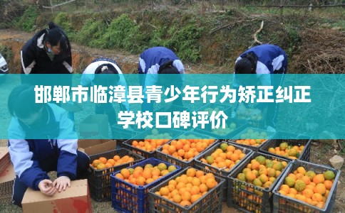 邯郸市临漳县青少年行为矫正纠正学校口碑评价