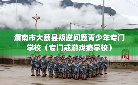 渭南市大荔县叛逆问题青少年专门学校(专门戒游戏瘾学校) 渭南市大荔县叛逆问题青少年专门学校(专门戒游戏瘾学校)