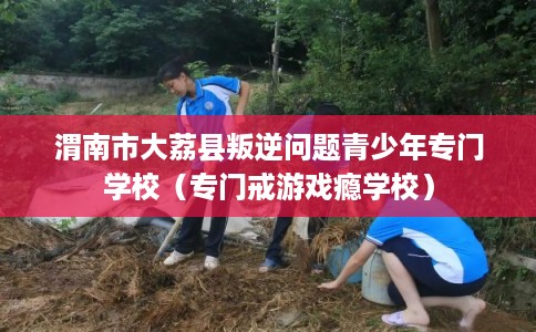 渭南市大荔县叛逆问题青少年专门学校(专门戒游戏瘾学校) 渭南市大荔县叛逆问题青少年专门学校(专门戒游戏瘾学校)