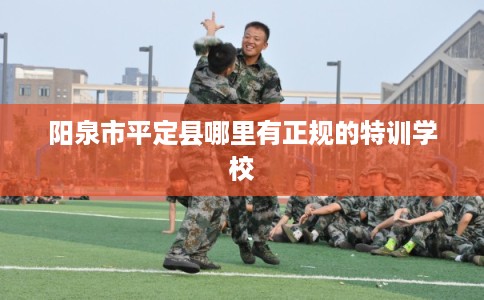阳泉市平定县哪里有正规的特训学校