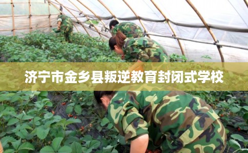 济宁市金乡县叛逆教育封闭式学校