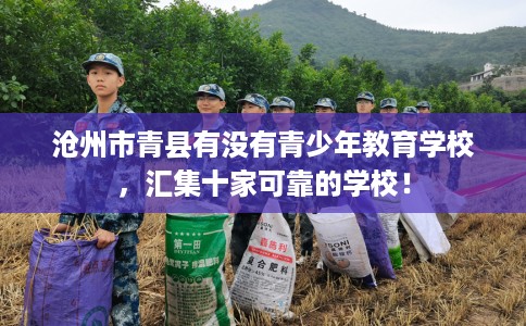 沧州市青县有没有青少年教育学校，汇集十家可靠的学校！