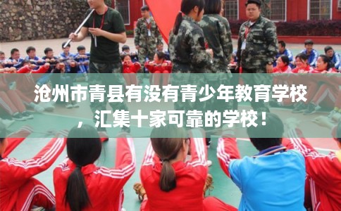 沧州市青县有没有青少年教育学校，汇集十家可靠的学校！