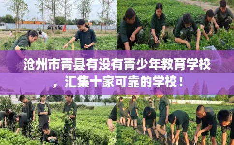 沧州市青县有没有青少年教育学校，汇集十家可靠的学校！