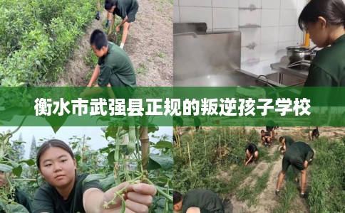 衡水市武强县正规的叛逆孩子学校 衡水市武强县正规的叛逆孩子学校