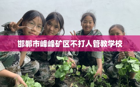 邯郸市峰峰矿区不打人管教学校