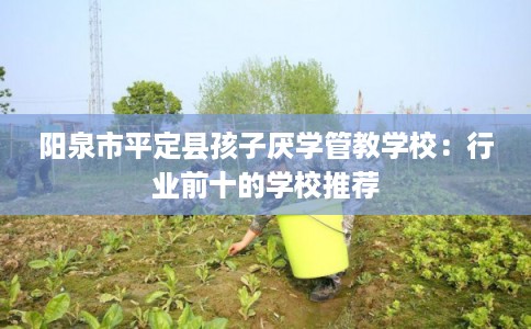 阳泉市平定县孩子厌学管教学校:行业前十的学校推荐 阳泉市平定县孩子厌学管教学校:行业前十的学校推荐