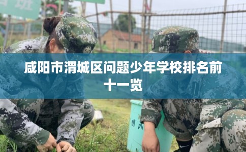 咸阳市渭城区问题少年学校排名前十一览