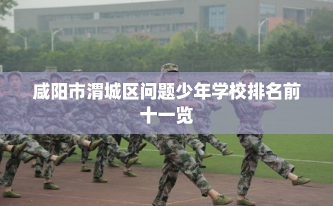 咸阳市渭城区问题少年学校排名前十一览