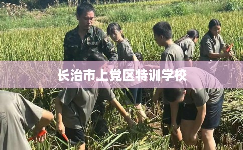 长治市上党区特训学校 长治市上党区特训学校