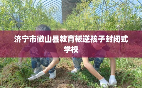 济宁市微山县教育叛逆孩子封闭式学校
