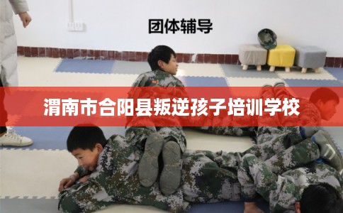 渭南市合阳县叛逆孩子培训学校