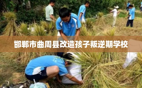 邯郸市曲周县改造孩子叛逆期学校 邯郸市曲周县改造孩子叛逆期学校