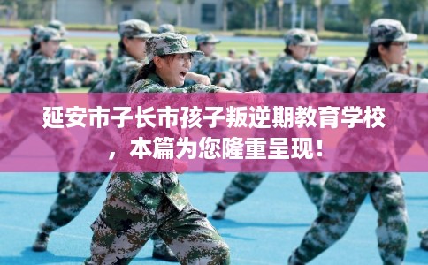 延安市子长市孩子叛逆期教育学校，本篇为您隆重呈现！