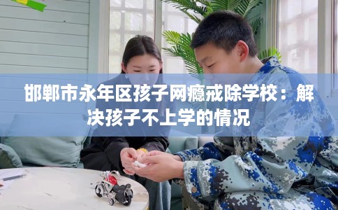 邯郸市永年区孩子网瘾戒除学校：解决孩子不上学的情况