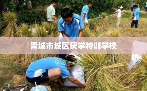 晋城市城区厌学特训学校