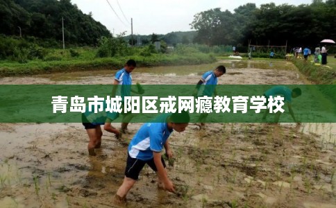 青岛市城阳区戒网瘾教育学校