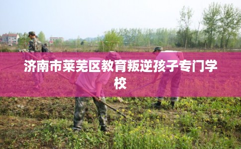 济南市莱芜区教育叛逆孩子专门学校