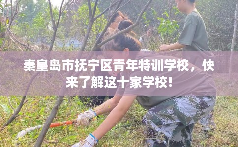 秦皇岛市抚宁区青年特训学校,快来了解这十家学校! 秦皇岛市抚宁区青年特训学校,快来了解这十家学校!