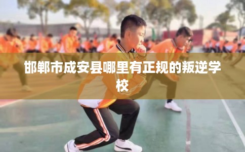 邯郸市成安县哪里有正规的叛逆学校