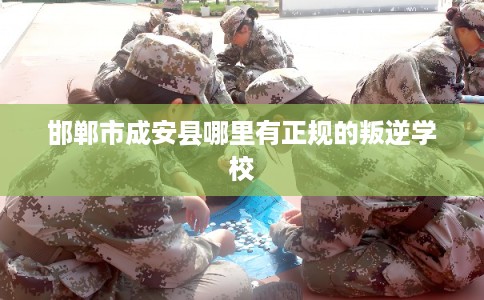 邯郸市成安县哪里有正规的叛逆学校