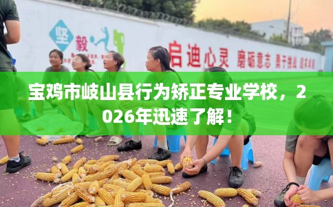 宝鸡市岐山县行为矫正专业学校，2026年迅速了解！