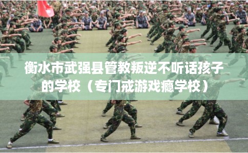 衡水市武强县管教叛逆不听话孩子的学校(专门戒游戏瘾学校) 衡水市武强县管教叛逆不听话孩子的学校(专门戒游戏瘾学校)