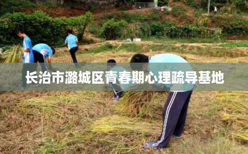 长治市潞城区青春期心理疏导基地