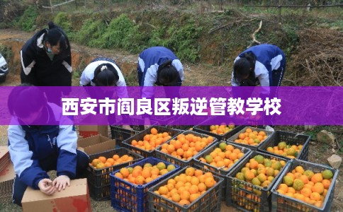 西安市阎良区叛逆管教学校 西安市阎良区叛逆管教学校
