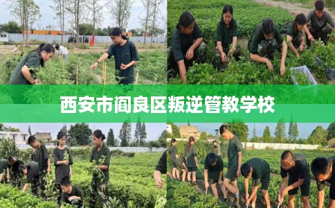 西安市阎良区叛逆管教学校