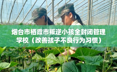 烟台市栖霞市叛逆小孩全封闭管理学校(改善孩子不良行为习惯) 烟台市栖霞市叛逆小孩全封闭管理学校(改善孩子不良行为习惯)