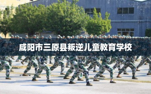 咸阳市三原县叛逆儿童教育学校 咸阳市三原县叛逆儿童教育学校