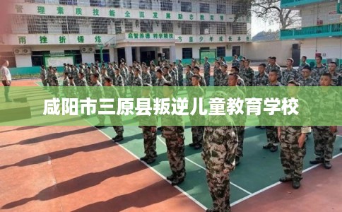 咸阳市三原县叛逆儿童教育学校 咸阳市三原县叛逆儿童教育学校