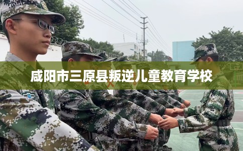 咸阳市三原县叛逆儿童教育学校 咸阳市三原县叛逆儿童教育学校