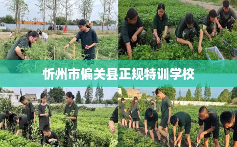 忻州市偏关县正规特训学校 忻州市偏关县正规特训学校