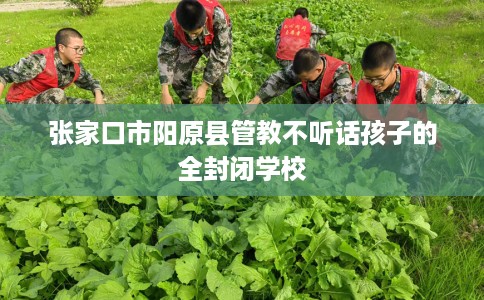 张家口市阳原县管教不听话孩子的全封闭学校 张家口市阳原县管教不听话孩子的全封闭学校
