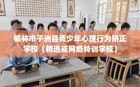榆林市子洲县青少年心理行为矫正学校(精选戒网瘾特训学校) 榆林市子洲县青少年心理行为矫正学校(精选戒网瘾特训学校)