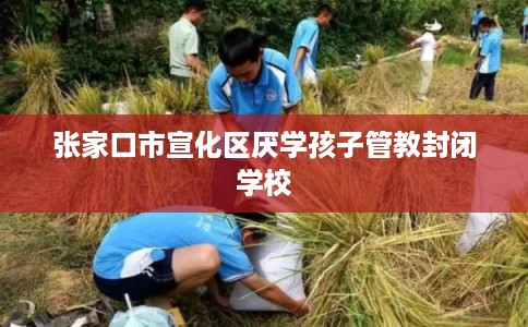 张家口市宣化区厌学孩子管教封闭学校 张家口市宣化区厌学孩子管教封闭学校