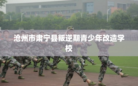 沧州市肃宁县叛逆期青少年改造学校 沧州市肃宁县叛逆期青少年改造学校