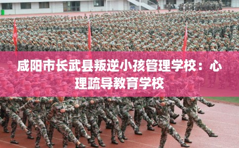 咸阳市长武县叛逆小孩管理学校:心理疏导教育学校 咸阳市长武县叛逆小孩管理学校:心理疏导教育学校