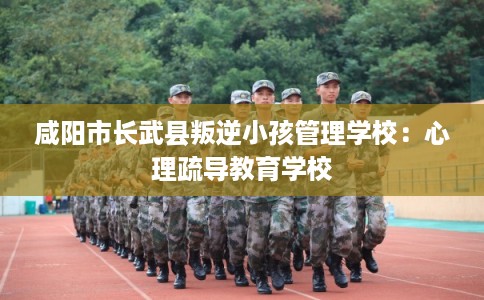 咸阳市长武县叛逆小孩管理学校:心理疏导教育学校 咸阳市长武县叛逆小孩管理学校:心理疏导教育学校
