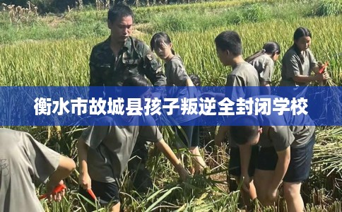 衡水市故城县孩子叛逆全封闭学校