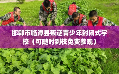 邯郸市临漳县叛逆青少年封闭式学校(可随时到校免费参观) 邯郸市临漳县叛逆青少年封闭式学校(可随时到校免费参观)