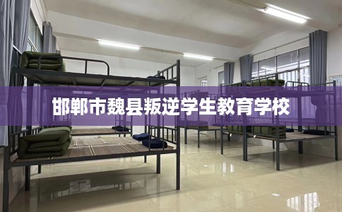 邯郸市魏县叛逆学生教育学校